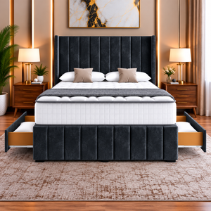 Black Plush Velvet