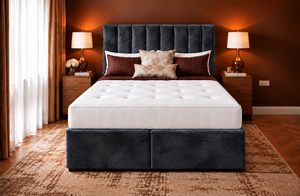 Black Plush Velvet