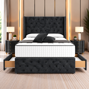 Black Plush Velvet