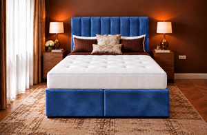 Blue Plush Velvet