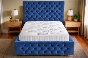 Blue Plush Velvet