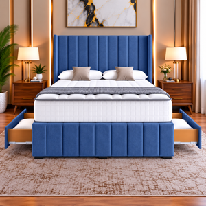 Blue Plush Velvet