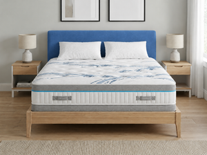 Blue Plush Velvet