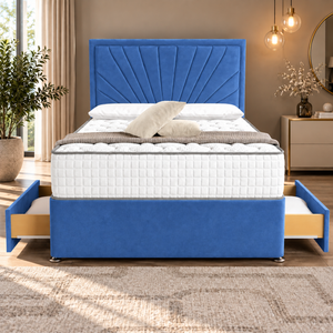 Blue Plush Velvet