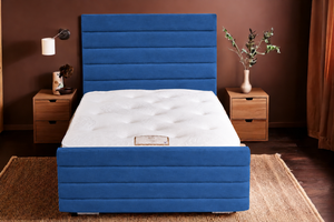Blue Plush Velvet