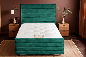 Green Plush Velvet