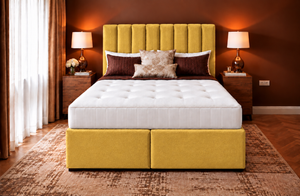 Mustard Plush Velvet