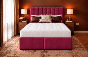 Purple Plush Velvet