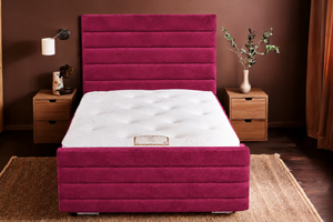 Purple Plush Velvet